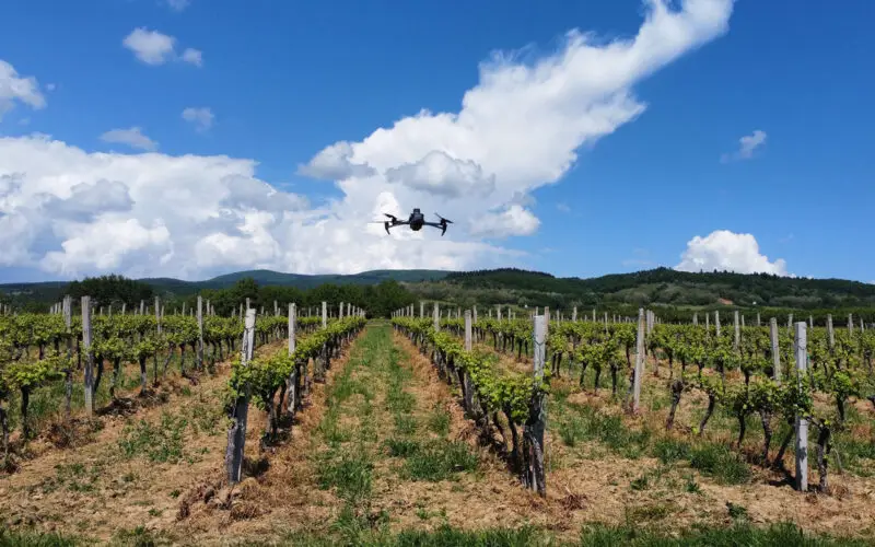Alti Agro Vineyard Angel analiza vinograda dronom