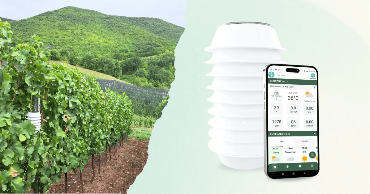 Winessense senzori i mobilna aplikacija u vinogradu